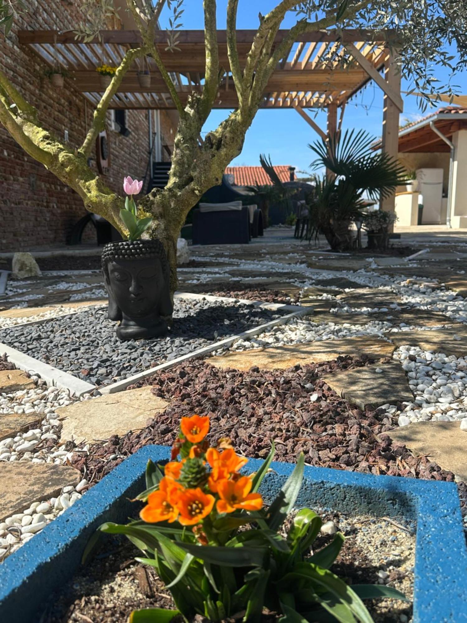 Chambres D'Hotes Doux Brazil Lisle-sur-Tarn Εξωτερικό φωτογραφία